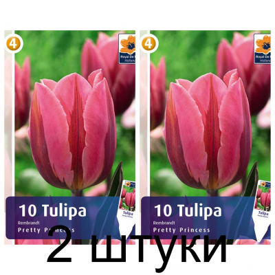 Семена. Тюльпаны Pretty Princess (R. De Ree) -2шт