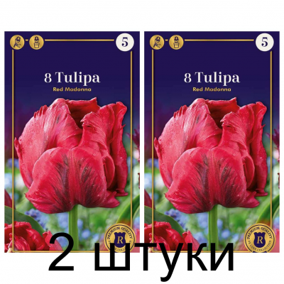 Семена. Тюльпаны Red Madonna (R. De Ree) -2шт