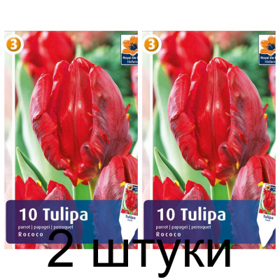 Семена. Тюльпаны Rococo (R. De Ree) -2шт