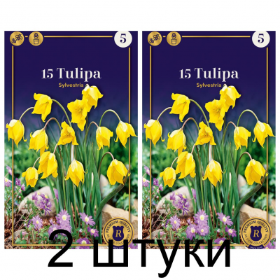 Семена. Тюльпаны Sylvestris (R. De Ree) -2шт