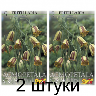Семена. Фритиллярия acmopetala (Lefeber) -2шт