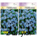 Незабудка альпийская Голубое кружево, 0.2г (Q-Agro - МинскСортСемОвощ) -2шт
