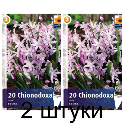 Семена. Хионодокса Rosea (R. De Ree) -2шт