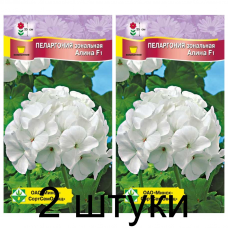 Пеларгония зональная Алина F1, семена 4шт (Cerny Seed, Чехия) -2шт