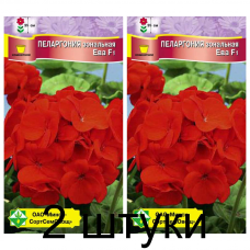 Пеларгония зональная Ева F1, семена 4шт (Cerny Seed, Чехия) -2шт