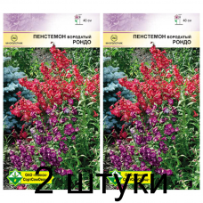 Семена. Пенстемон бородатый Рондо см 0.05г -2шт