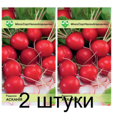 Семена. Редис Аскания 2г -2шт