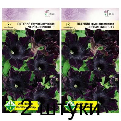 Семена. Петуния гибр крупноцв Черная вишня F1 5шт -2шт