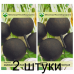Редька зимняя Круглая черная, 2г (селекция Россия, Ставрополь) -2шт