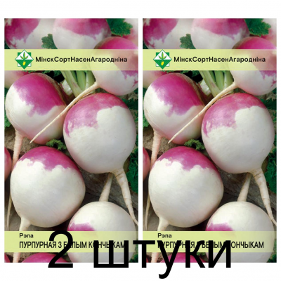Семена. Репа Пурпурная с белым кончиком 0.5г -2шт