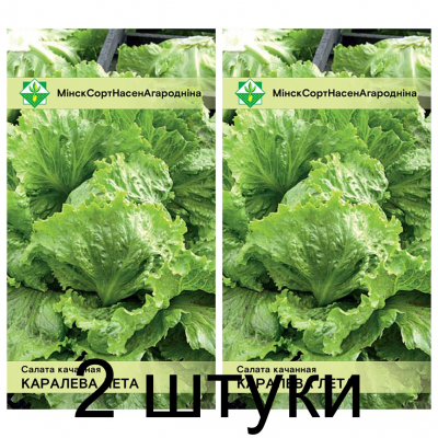 Семена. Салат Королева лета кочанный 0.5г -2шт