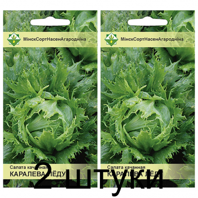 Семена. Салат Королева льда кочанный 0.5г -2шт