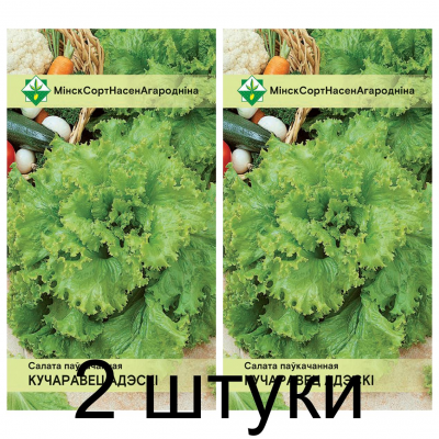 Семена. Салат Кучерявец Одесский полукочанный 0.5г -2шт