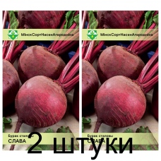 Семена. Свекла Слава столовая* 2г -2шт