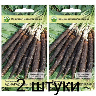 Семена. Скорцонера Однолетний великан 1г -2шт