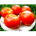 Томат низкорослый Белый налив 241, 20 семян (Селекция Молдова) -2шт