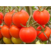 Томат белорусской селекции Бум F1, 15 семян (РУП Институт овощеводства) -2шт