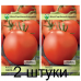 Томат белорусской селекции Лапа F1* (Институт овощеводства НАН) -2шт