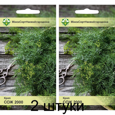 Укроп белорусской селекции Сож 2000, 2г (Институт овощеводства НАН) -2шт