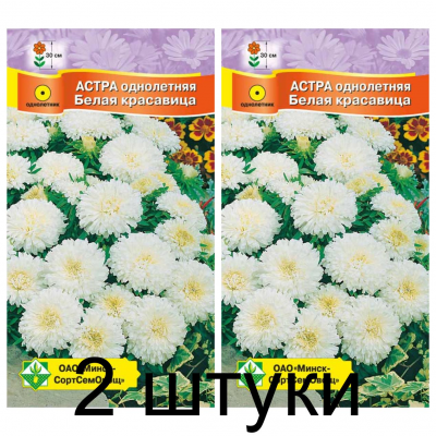 Семена. Астра Карликовая Белая красавица 0.3г -2шт