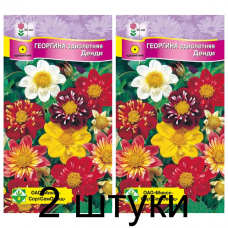 Семена. Георгина однолет Денди см 0.3г -2шт