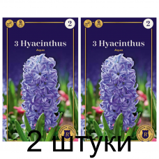 Семена. Гиацинты Aqua (R. De Ree) -2шт