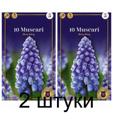 Семена. Мускари Bling Bling (R. De Ree) -2шт