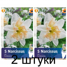 Семена. Нарциссы Palmares (R. De Ree) -2шт