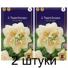 Семена. Нарциссы Pom Pom Rose (R. De Ree) -2шт