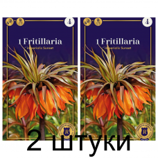 Семена. Фритиллярия imperialis Sunset (R. De Ree) -2шт