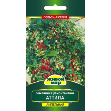 Семена Земляника ремонтантная Аттила (W. Legutko) 0,1 г, РБ