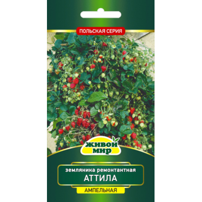 Семена Земляника ремонтантная Аттила (W. Legutko) 0,1 г, РБ