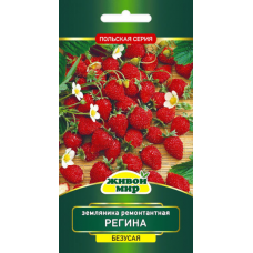 Земляника ремонтантная Регина 0,1г (W. Legutko, Польша)