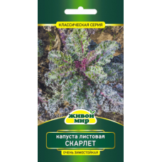 Семена Капуста листовая Скарлет (W. Legutko) 0,5 г, РБ