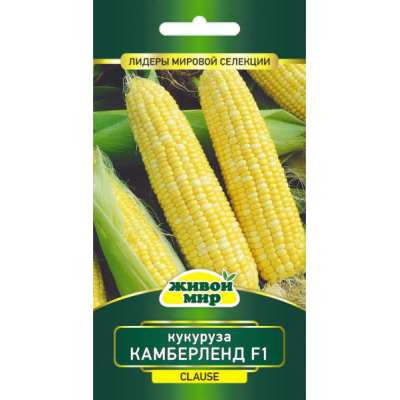 Семена Кукуруза Камберленд F1 (Clause) 15 шт, РБ