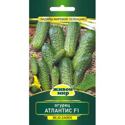 Огурец Атлантис F1 - 10 семян (Bejo Zaden, Нидерланды)