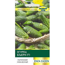 Семена Огурец Бъерн F1 (Enza Zaden) 5 шт, РБ