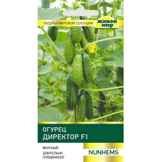 Семена Огурец Директор F1 (Nunhems) 5 шт, РБ