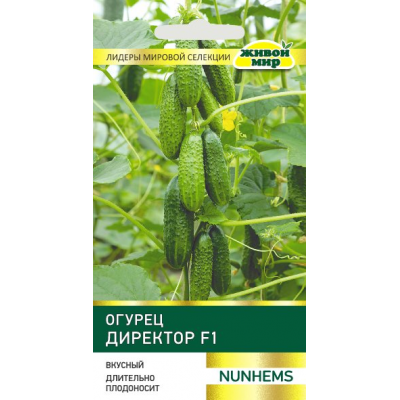 Семена Огурец Директор F1 (Nunhems) 5 шт, РБ