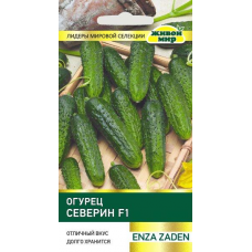 Огурец раннеспелый Северин F1, 5 семян (Enza Zaden, Живой мир)