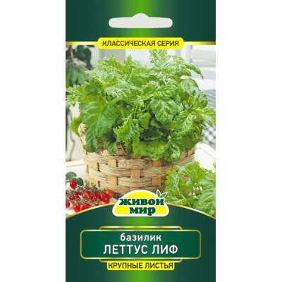 Семена Базилик Леттус Лиф (W. Legutko) 0,5 г, РБ