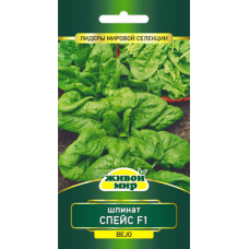 Семена Шпинат Спейс F1 (Bejo Zaden) 2 г, РБ