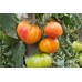 Семена Томат Мадрид F1 (Clause), РБ