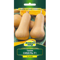 Семена Тыква мускатная Сибель F1 (Clause) 4 шт, РБ