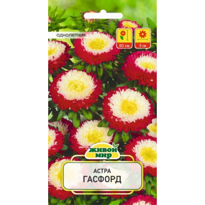 Семена Астра Гасфорд (W. Legutko) 0,3 г, РБ