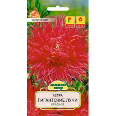 Семена Астра Гигантские лучи красная (W. Legutko) 0,3 г, РБ