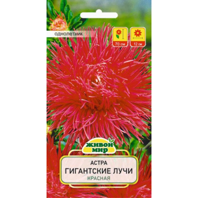 Семена Астра Гигантские лучи красная (W. Legutko) 0,3 г, РБ