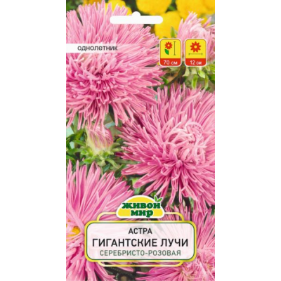 Семена Астра Гигантские лучи серебристо-розовая (W. Legutko) 0,3 г, РБ