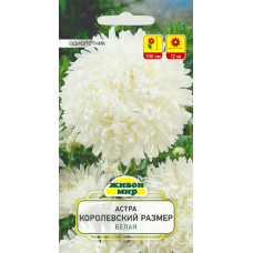 Семена Астра Королевский размер белая (W. Legutko) 0,3 г, РБ
