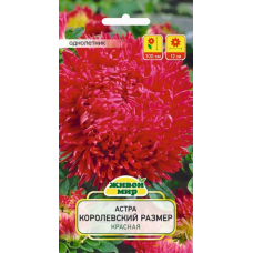Семена Астра Королевский размер красная (W. Legutko) 0,3 г, РБ